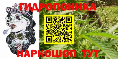 спиды Кинель