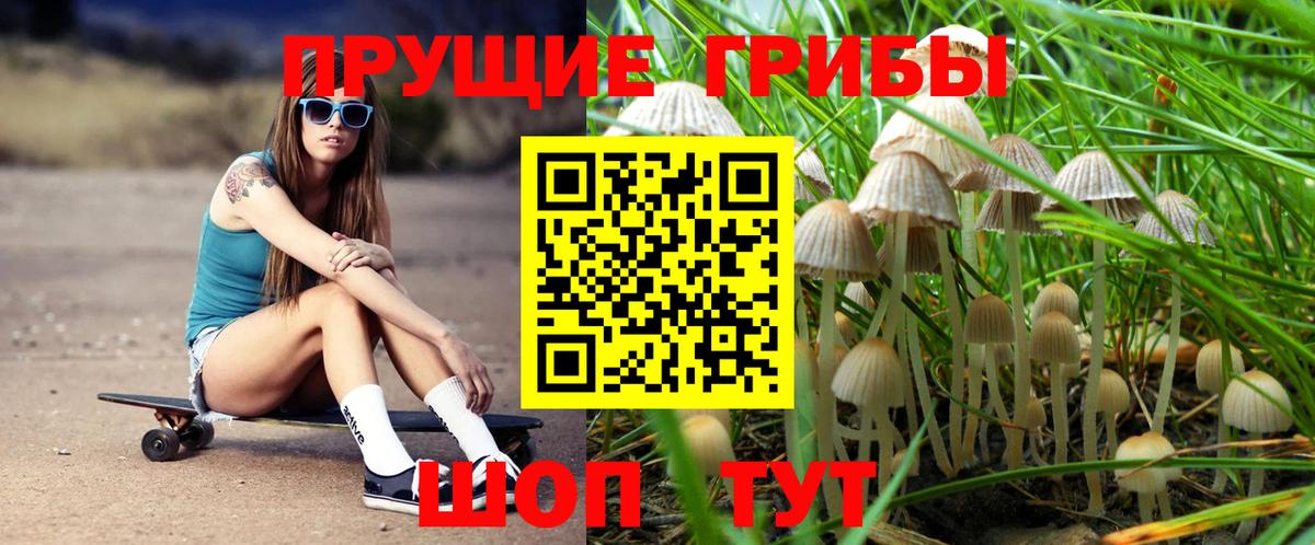 Кохма  Галлюциногенные грибы мухоморы  Вход с VPN 